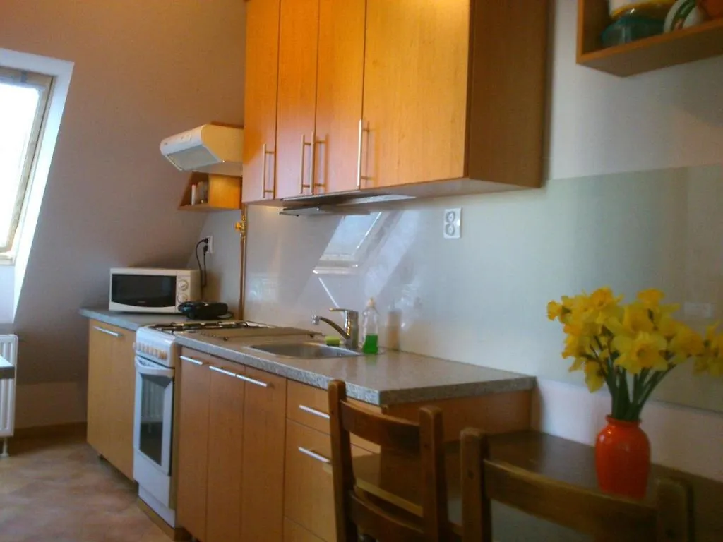 Rona Apartman Apartment Szeged 0*,